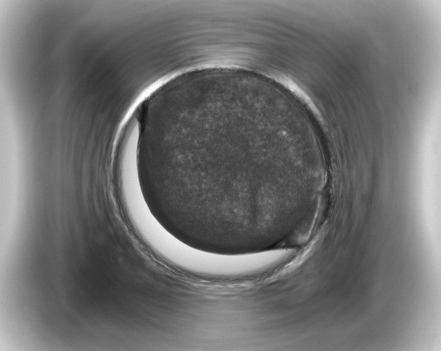 X0000084571077200703161718