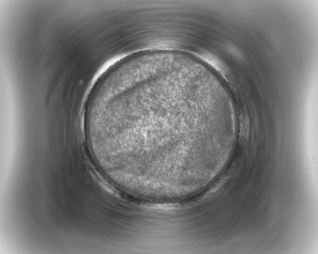 X0000084571078200703161718