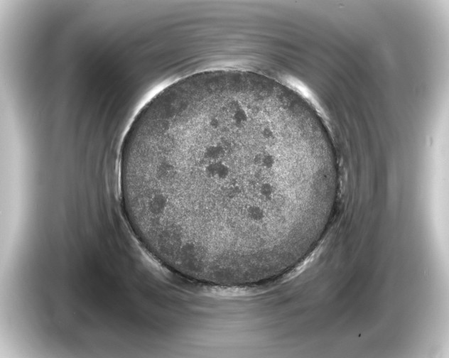 X0000084571079200703161718