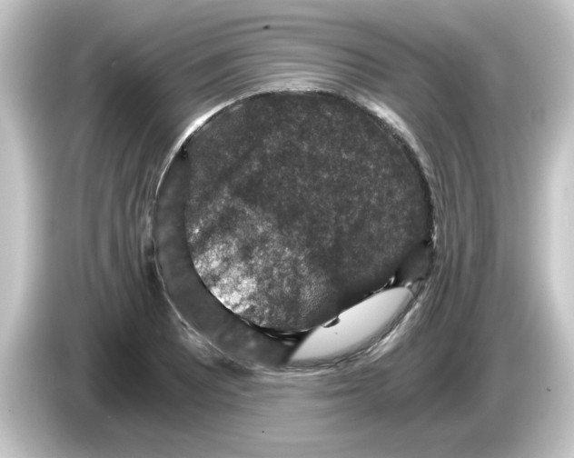 X0000084571081200703161718
