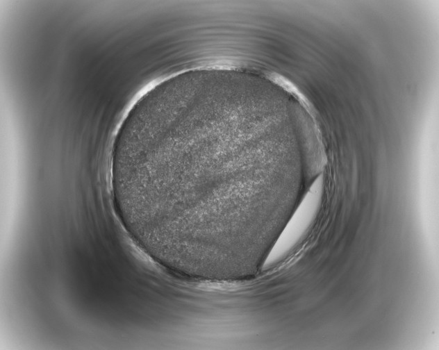 X0000084571083200703161718