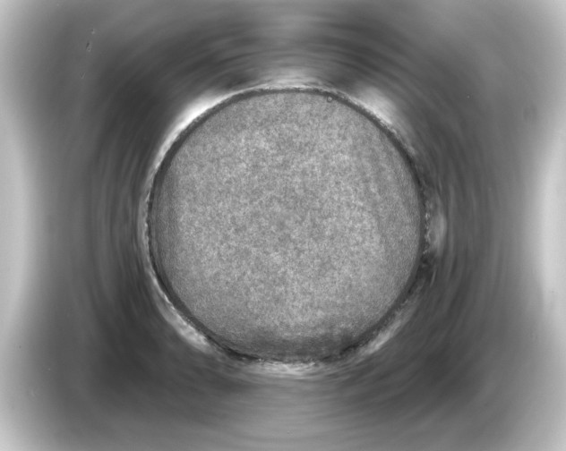 X0000084571086200703161718