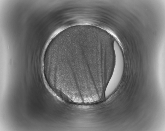 X0000084571088200703161718