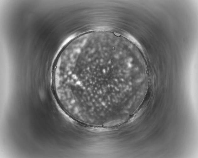 X0000084571095200703161718