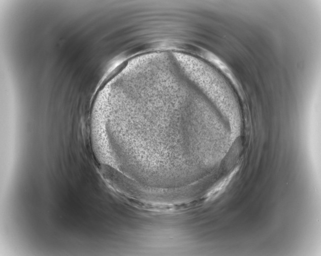 X0000084571097200703161718