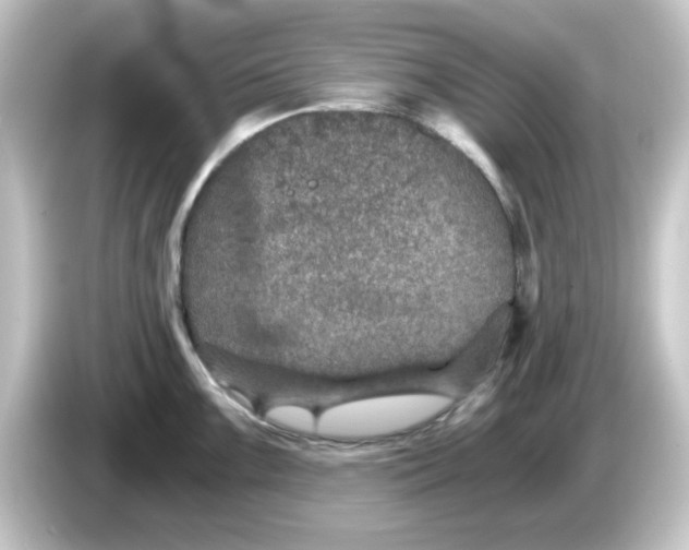 X0000084571099200703161718
