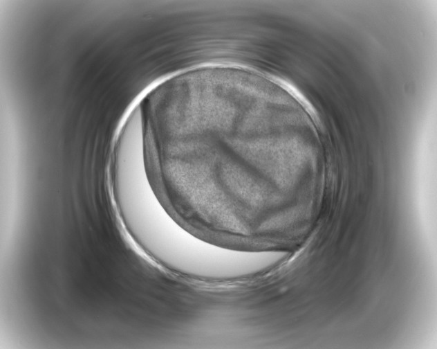 X0000084571100200703161718