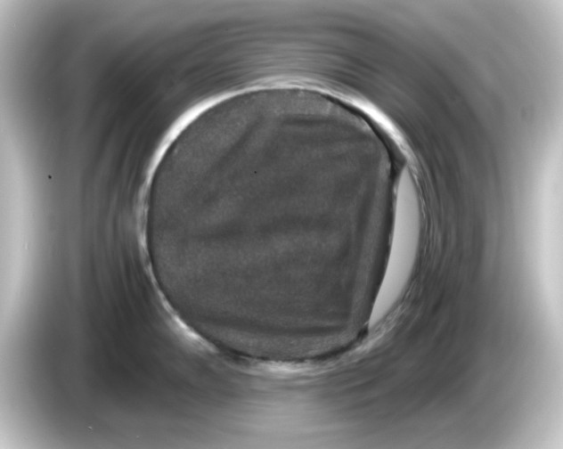 X0000084571102200703161718