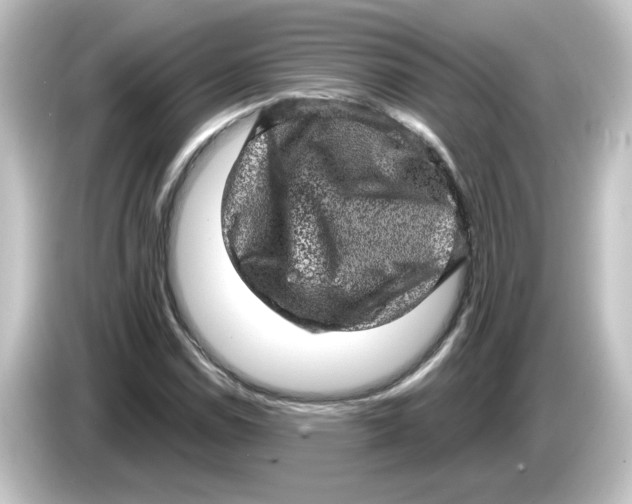 X0000084571114200703161717