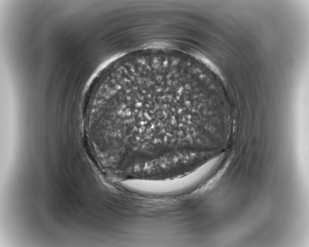 X0000084571117200703161717