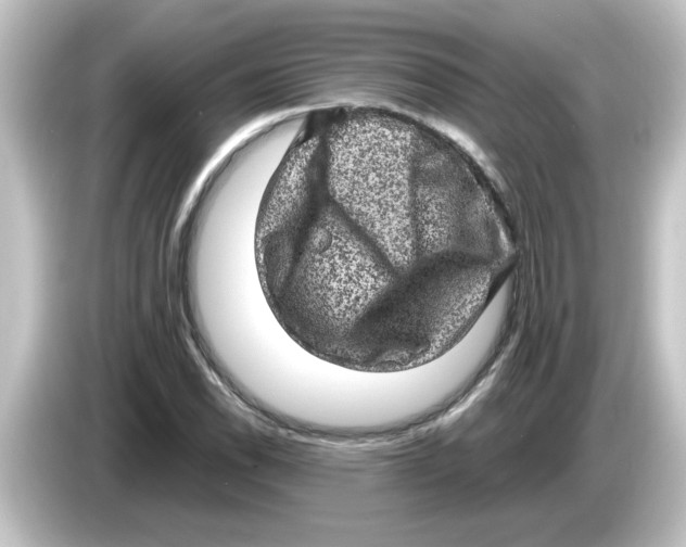 X0000084571118200703161717