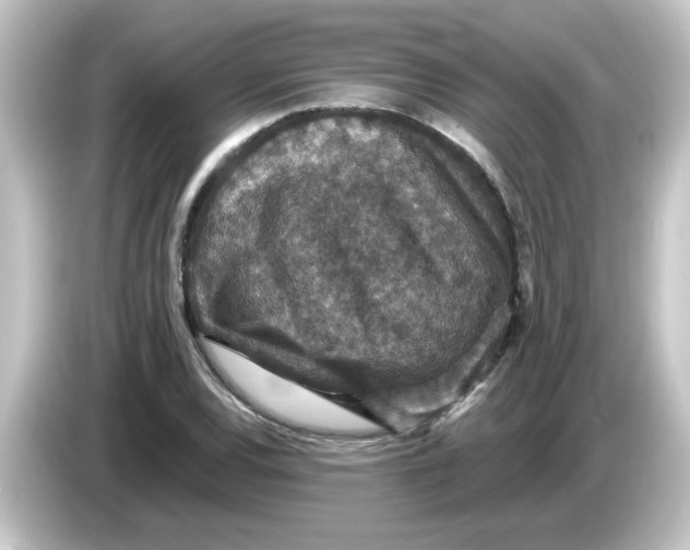 X0000084571120200703161717