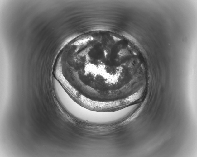 X0000084571121200703161717