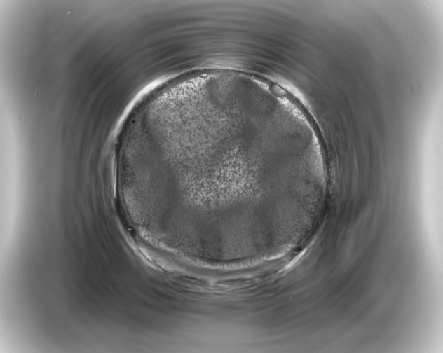 X0000084571123200703161717