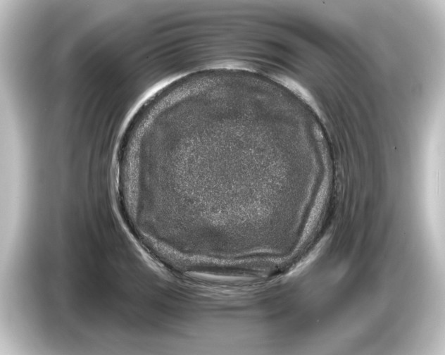 X0000084571125200703161717