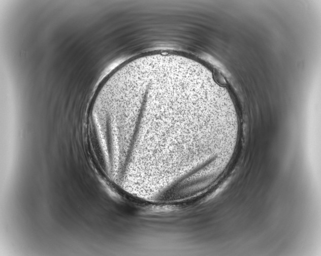 X0000084571129200703161717