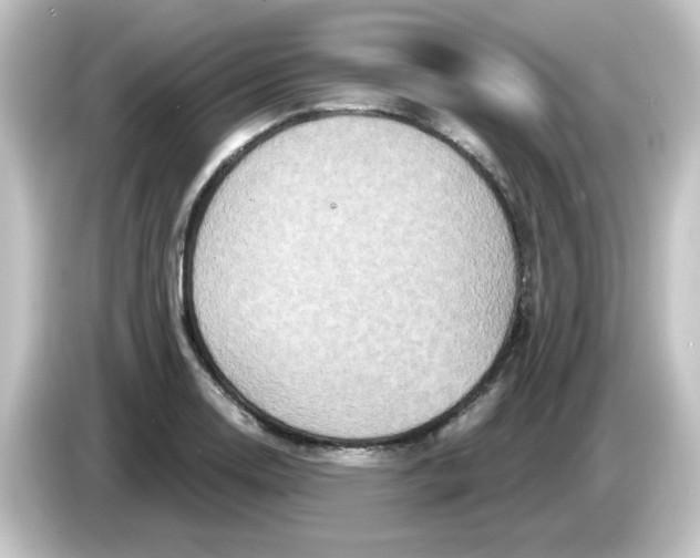 X0000084571130200703161717