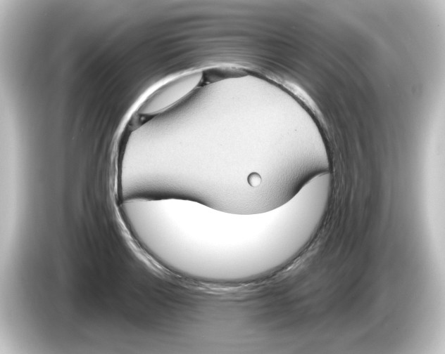 X0000084571132200703161717