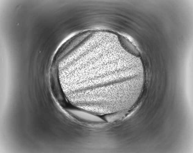 X0000084571134200703161717