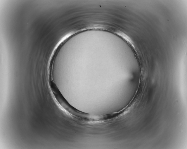X0000084571135200703161717