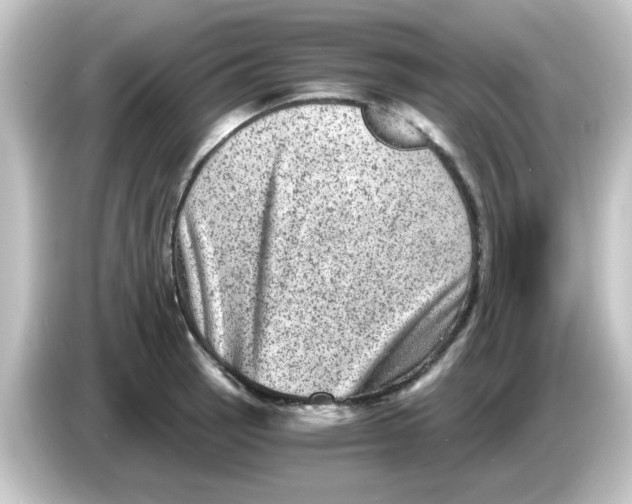 X0000084571137200703161717