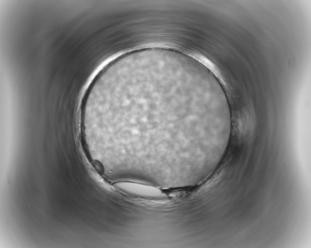 X0000084571140200703161717
