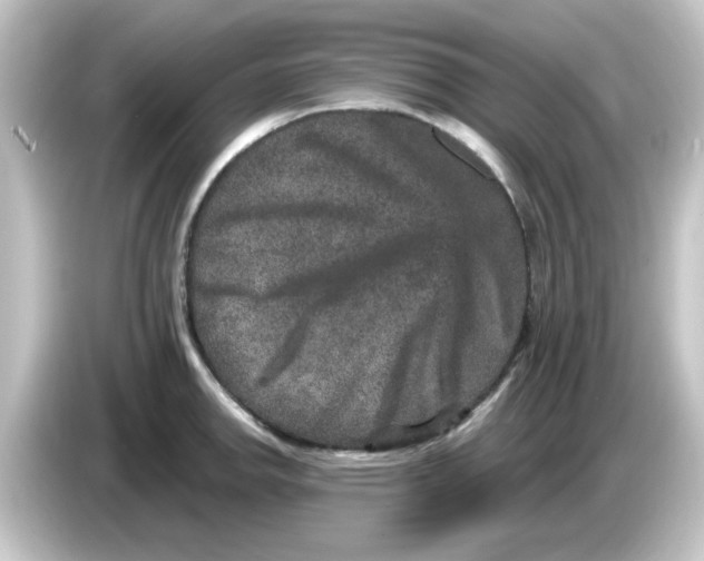 X0000084571142200703161717