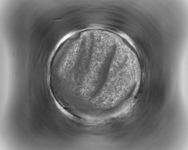 X0000084571143200703161717