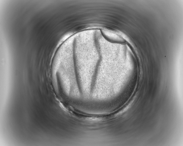 X0000084571145200703161717