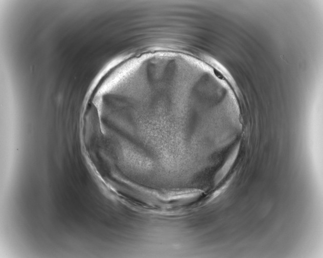 X0000084571146200703161717