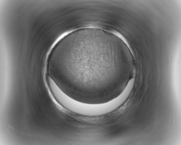 X0000084571147200703161717