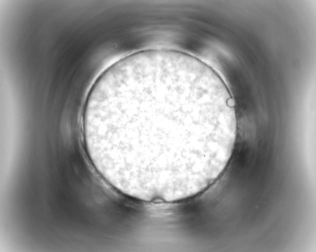 X0000084571150200703161717