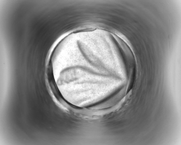 X0000084571152200703161718