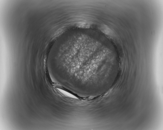 X0000084571154200703161717