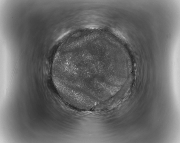 X0000084571158200703161717