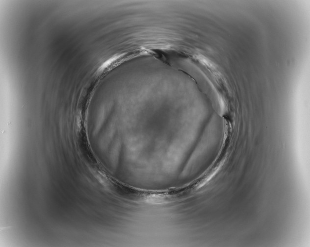 X0000084571161200703161717