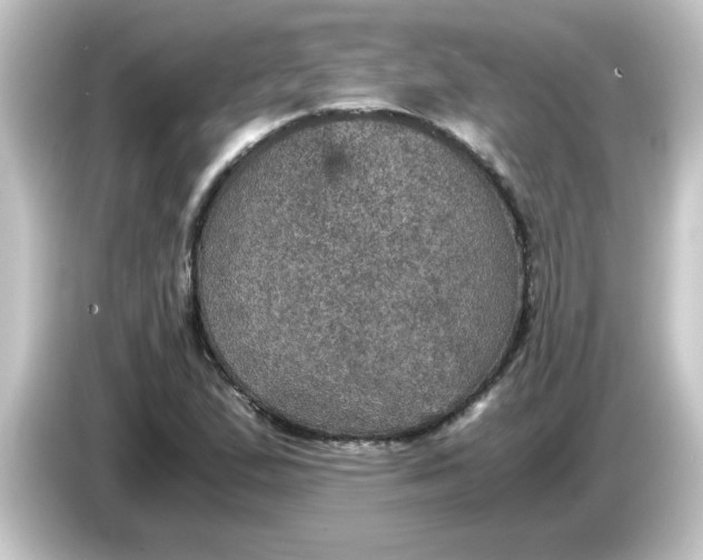X0000084571167200703161717