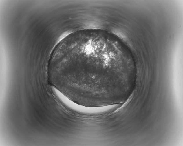 X0000084571170200703161717