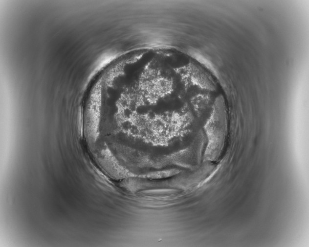 X0000084571171200703161717