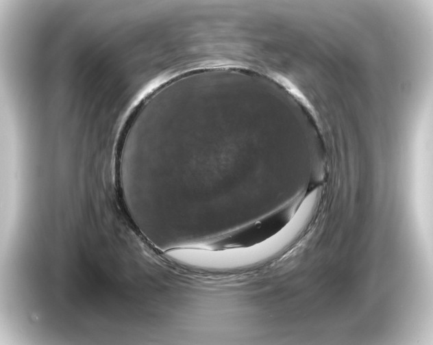 X0000084571173200703161717
