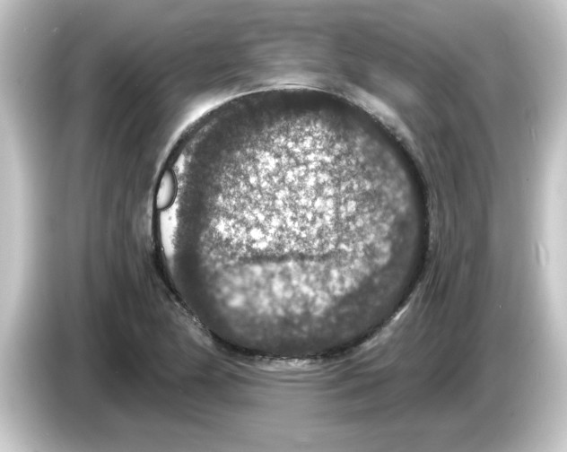 X0000084571174200703161717