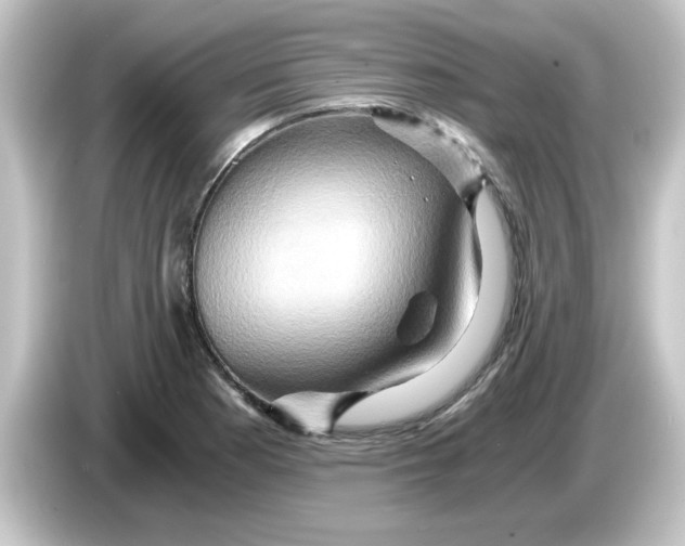 X0000084571177200703161717
