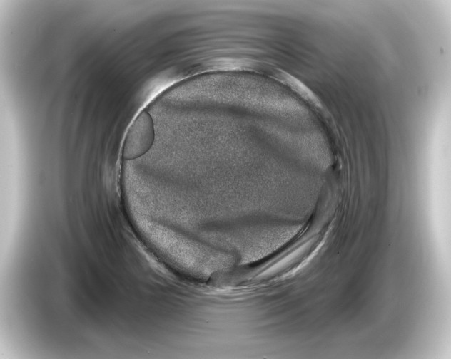 X0000084571178200703161717