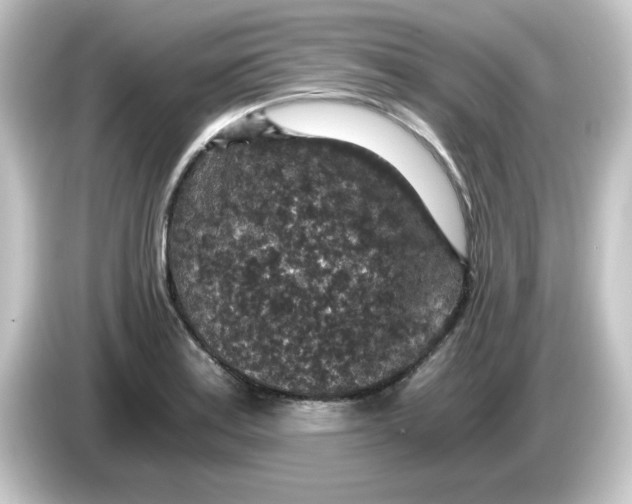 X0000084571179200703161717