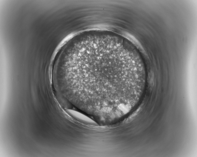 X0000084571180200703161717