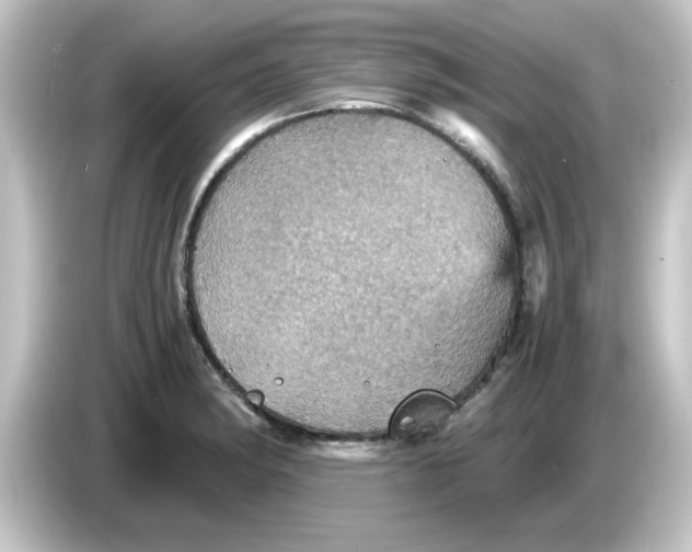 X0000084571182200703161717