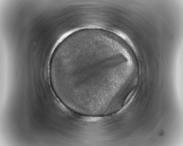 X0000084571184200703161717