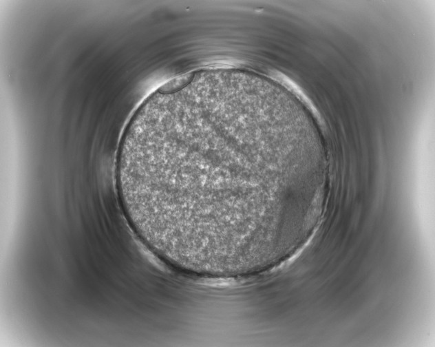 X0000084571186200703161717