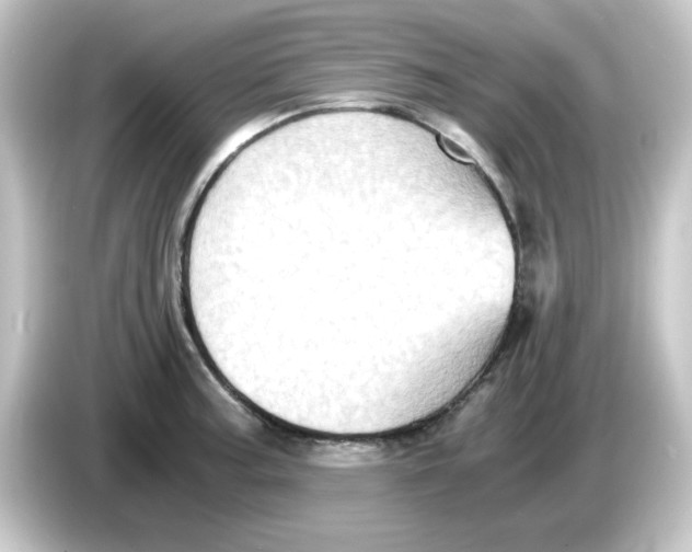 X0000084571187200703161717