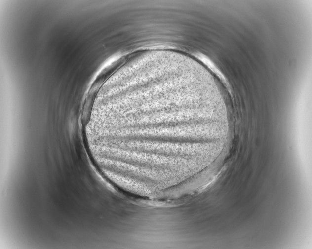 X0000084571189200703161717
